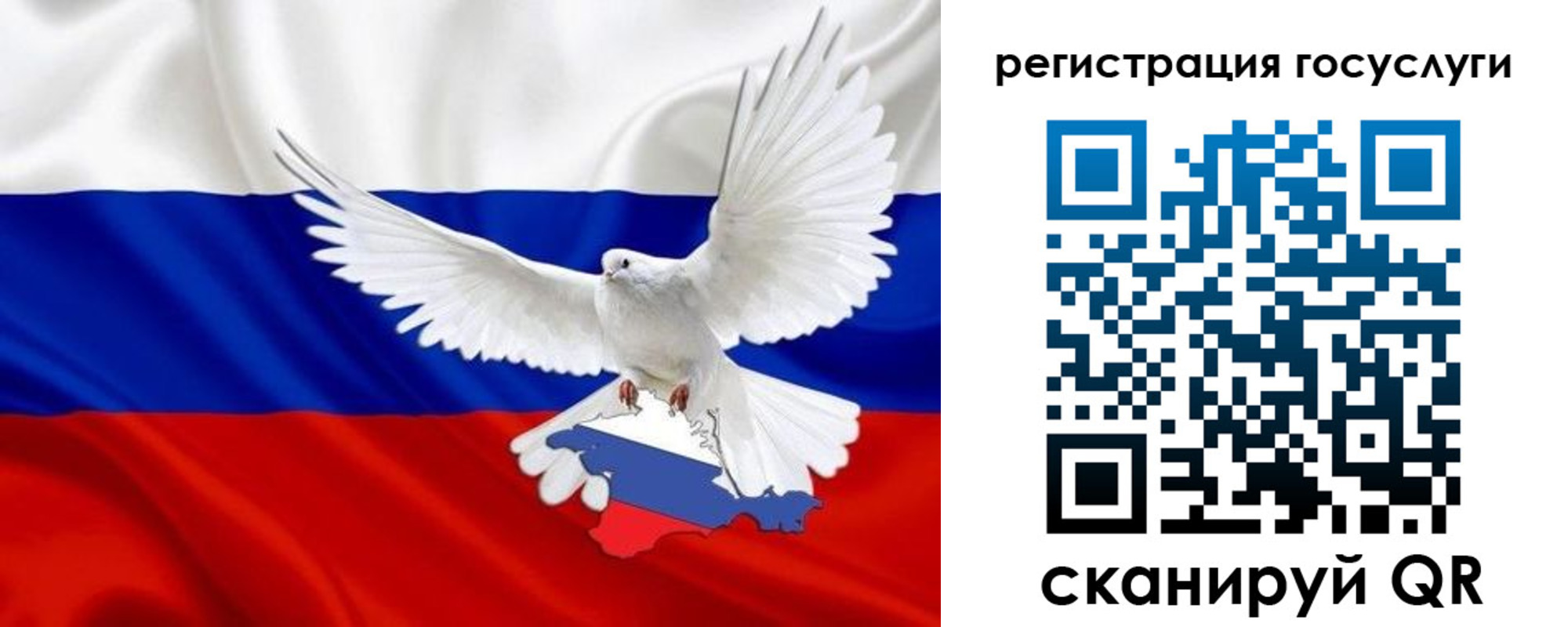 прописка законно в Кольчугино